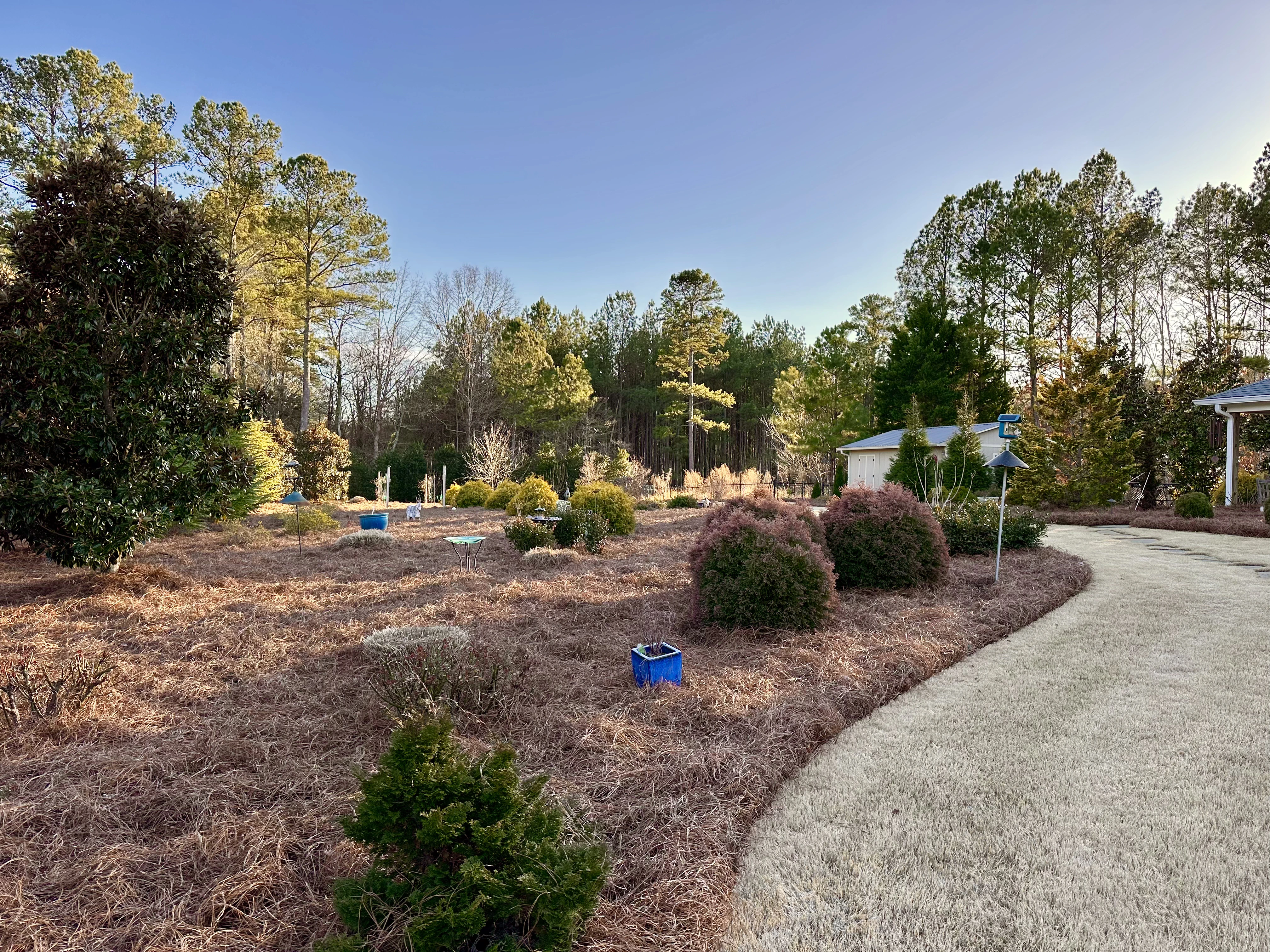 Lawn after professional maintenance service